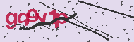 Captcha認証コード