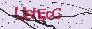 Captcha認証コード